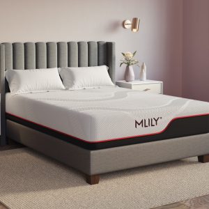 MLILY Dream From $599