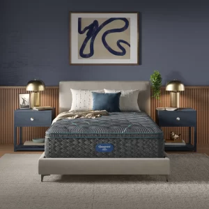 Beautyrest Level Two Plush Pillow top Starting at $999 for Twin